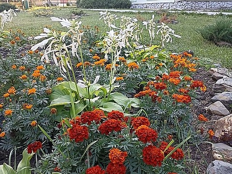 IMG_20230830_174702
